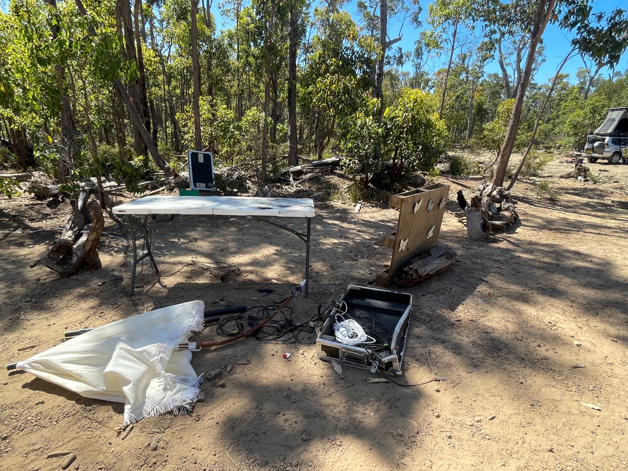 Equipos eléctricos colgados de los árboles en una rave ilegal.