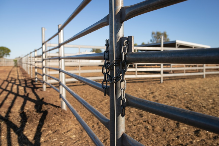 A close up of a locked gate to an empty cattle yard.