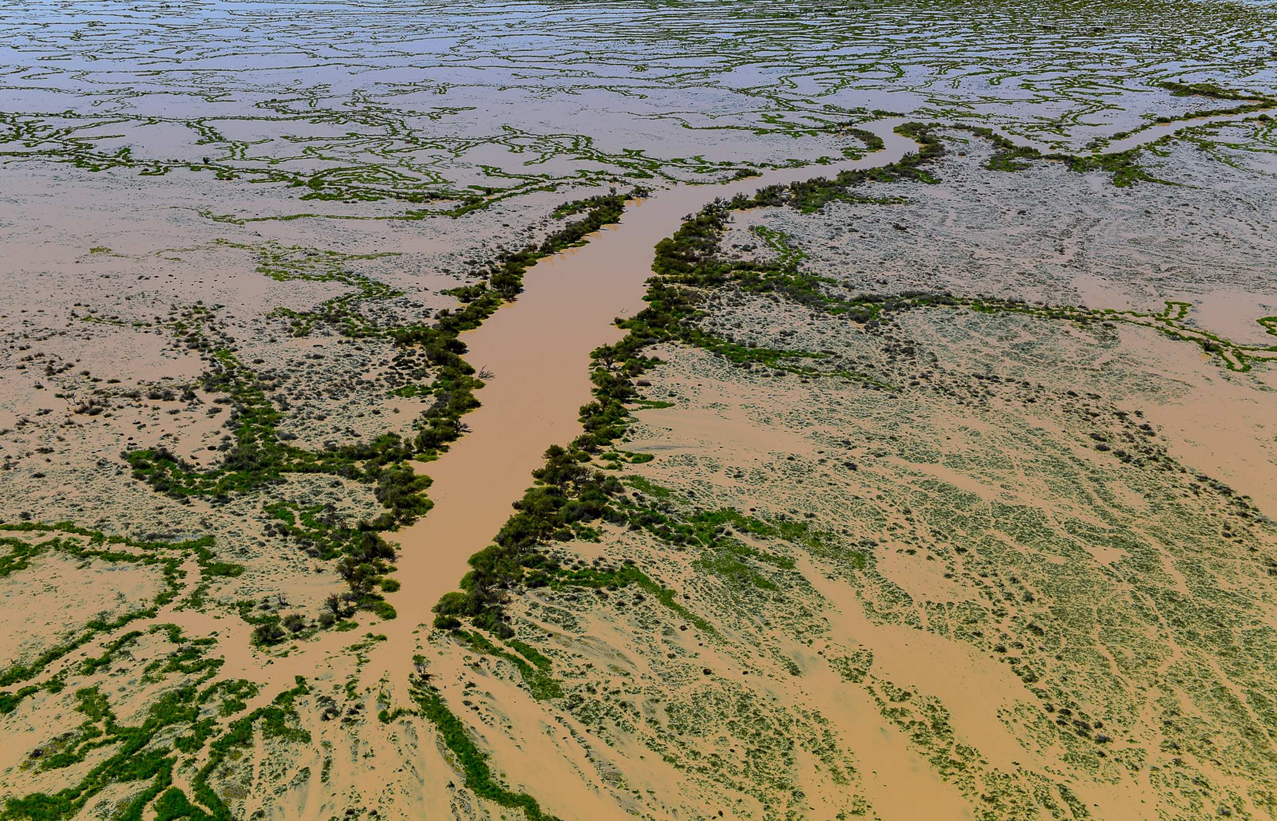 A wide photo of green and brown landscape.