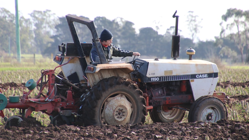 A man uses a tractor to plough a field 