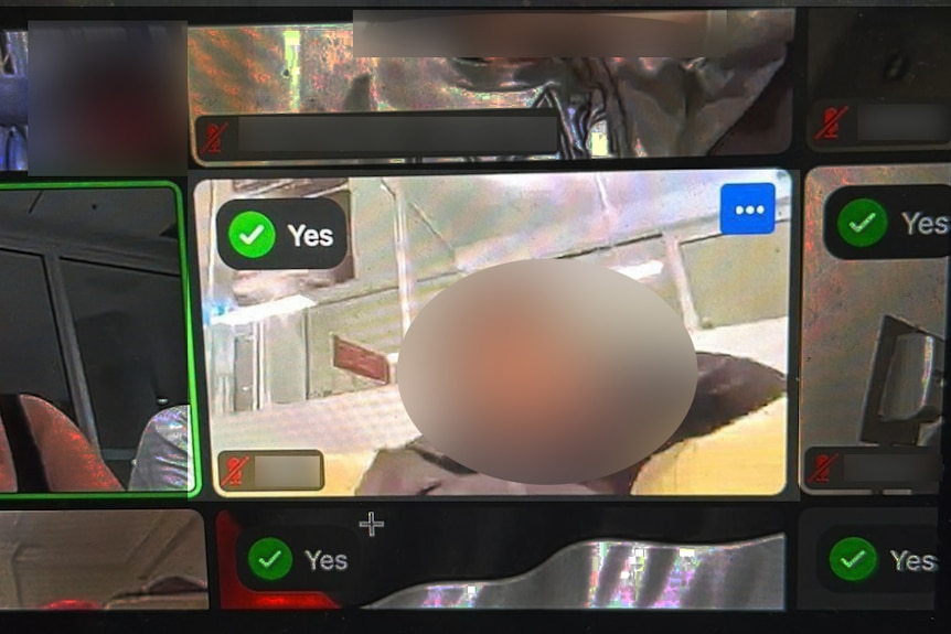 A photo of a person in an online meeting with the person's head is blurred. 