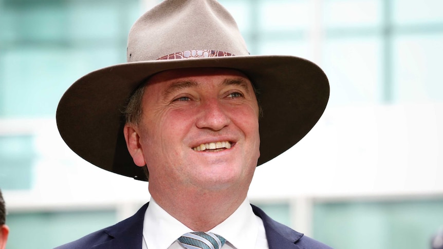 Barnaby Joyce wears an akubra, speaks about the sugar tax outside Parliament house