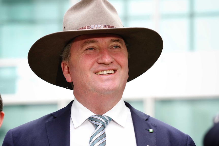 Barnaby Joyce wears an akubra, speaks outside Parliament house
