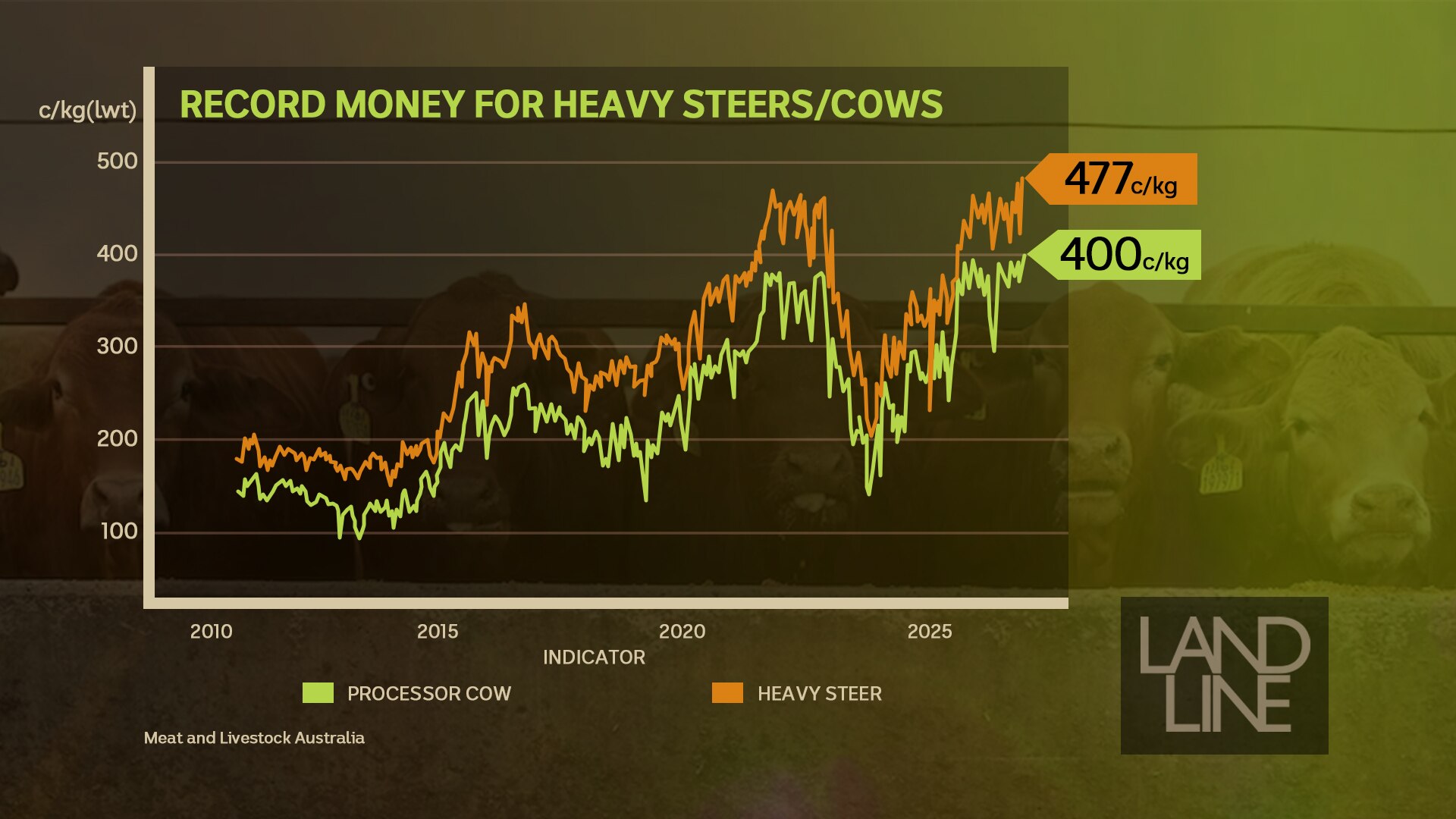 Graph showing cow and heavy steer prices, which have a general upward trend in recent years.