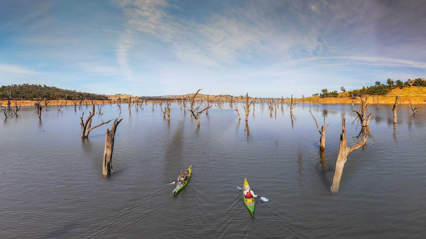 Aerial shot of two men on green kayaks paddling through a large width of water with dead tree trunks rising up from the water
