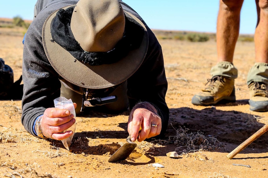 A man in an Akubra-style hat lies on the desert sand digging with a trowel.