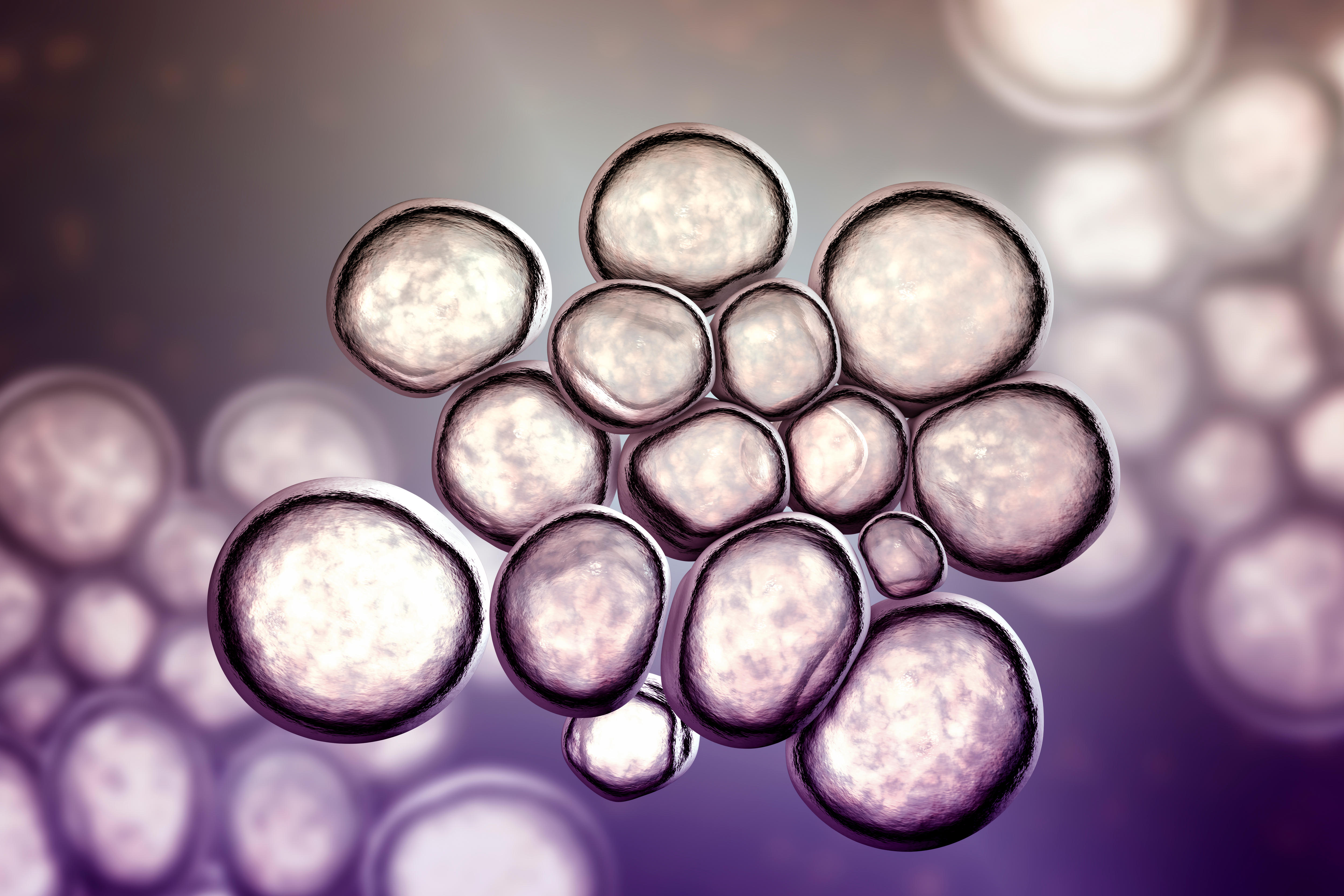 BV (Bacterial Vaginosis) Is Actually An STI!!!
