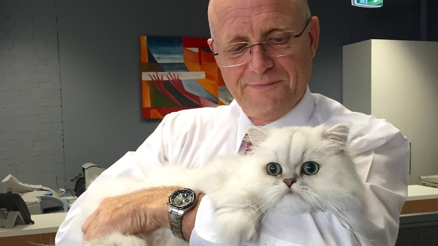 David Leyonhjelm holds his white fluffy cat Oliver