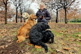 woman holding truffles with three dogs sitting in front of her