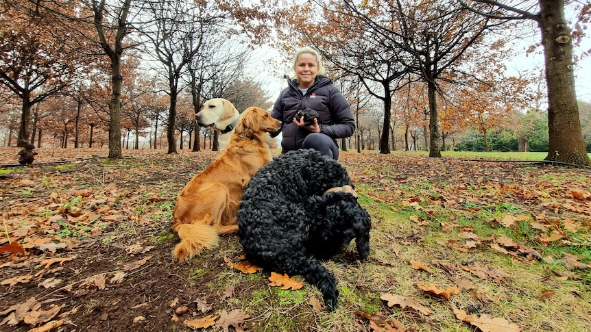 woman holding truffles with three dogs sitting in front of her