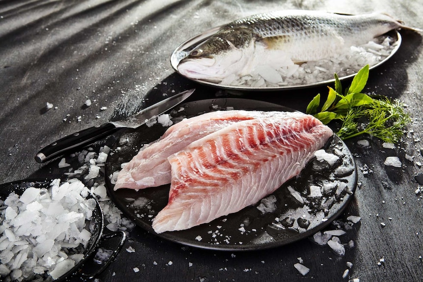 Photo of fish and fillets on black plates surrounded by salt flakes and ice chips with a smattering of herbs and knife