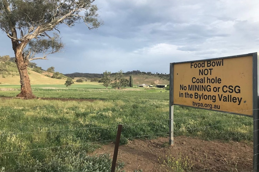Anti coal mining sign in the Bylong valley, in an open paddock with gum tree nearby .