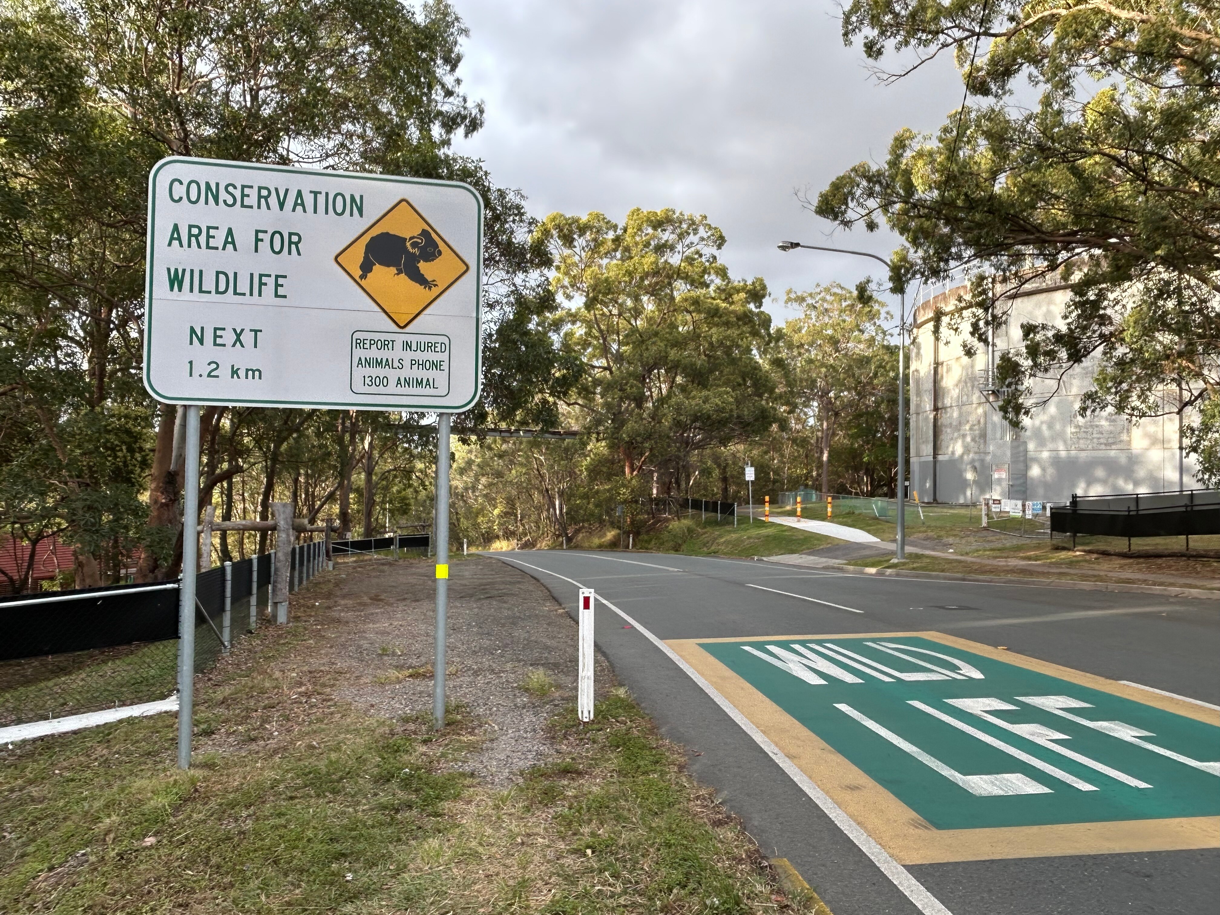 A white sign on the side of the road featuring an image of a koala and a warning about wildlife in the area.