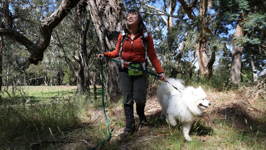 Woman holds dog by leash. They're in the middle of grassland.