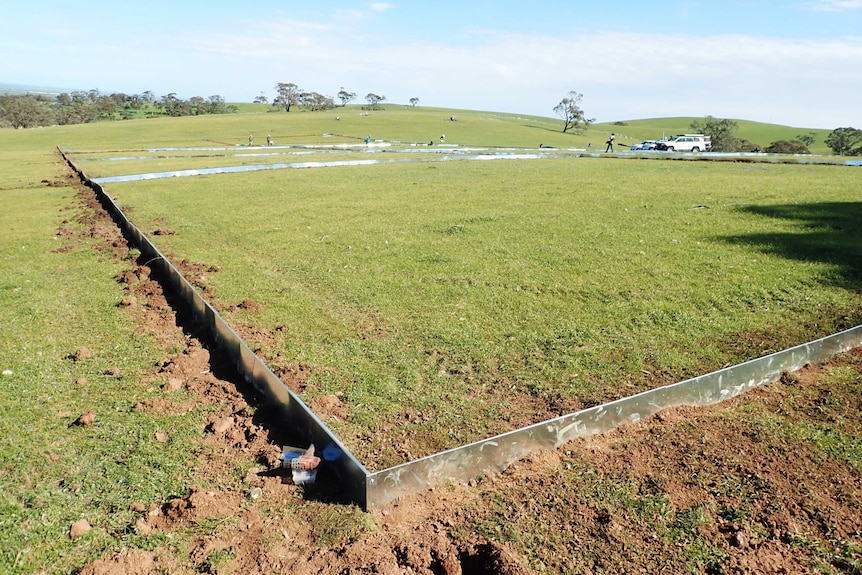 Ten rectangle and roofless enclosures built with very small metal walls span across a green hill.