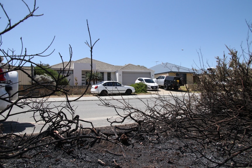 A house is viewed from blackened bushland.