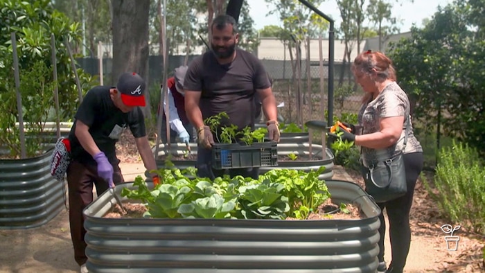 Two men and a woman standing around raised vegetable garden bed