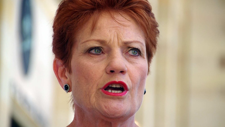 Pauline Hanson speaks outside WA Parliament.