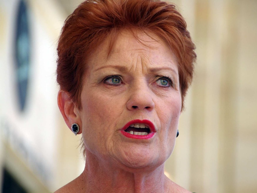 Pauline Hanson speaks at the launch of WA candidates outside state Parliament (headshot).