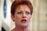 Pauline Hanson speaks at the launch of WA candidates outside state Parliament (headshot).