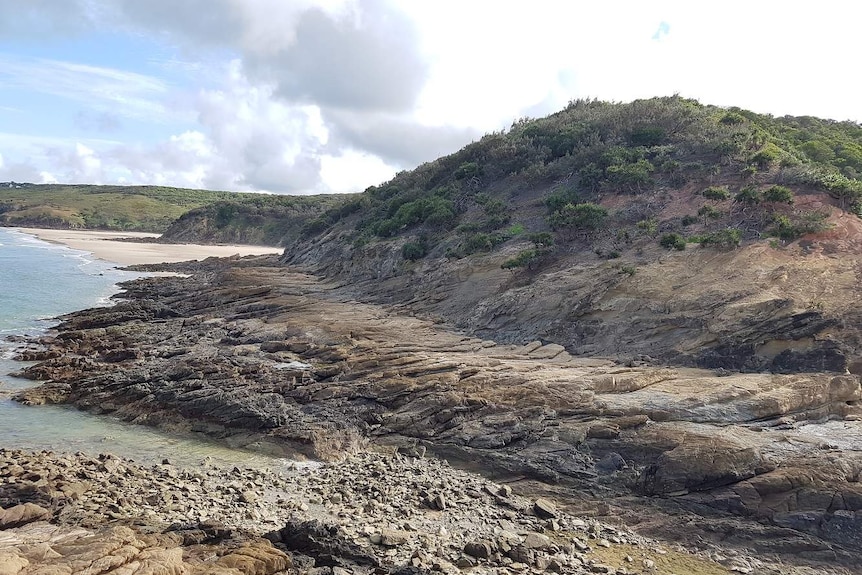 A rocky headland covered in green pandanus trees