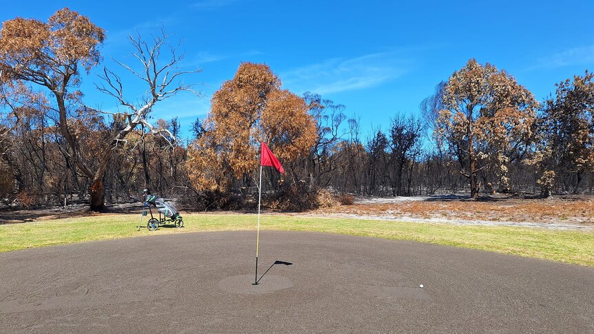 bushfire damage near golf course