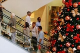 Shoppers in a department store surrounded by giant Christmas trees.