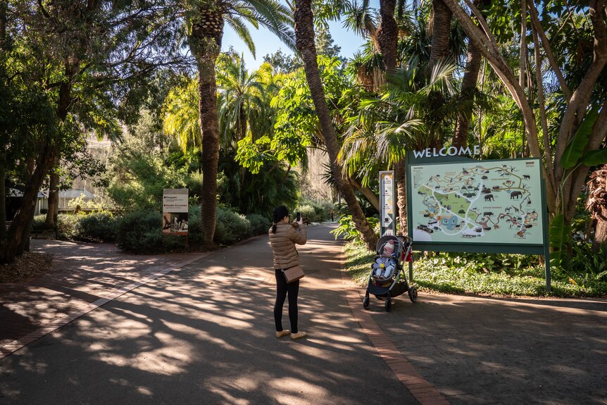 Entrance to Perth Zoo with trees, sign and woman with a child in pram