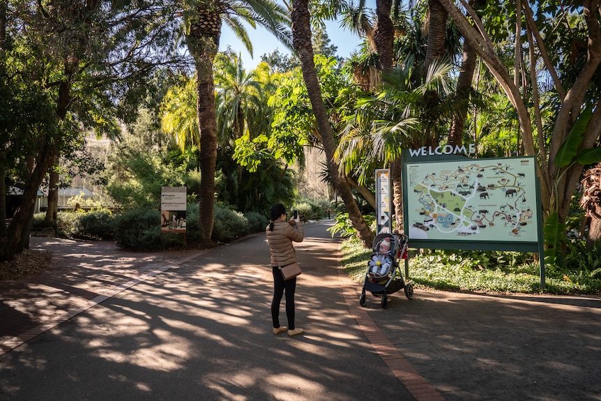 Entrance to Perth Zoo with trees, sign and woman with a child in pram