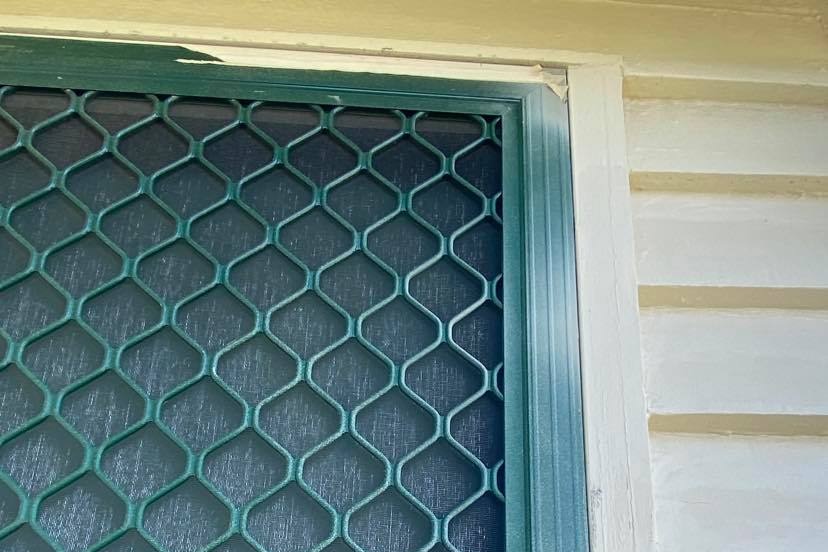 A green screen door with cream paint marks all over it.