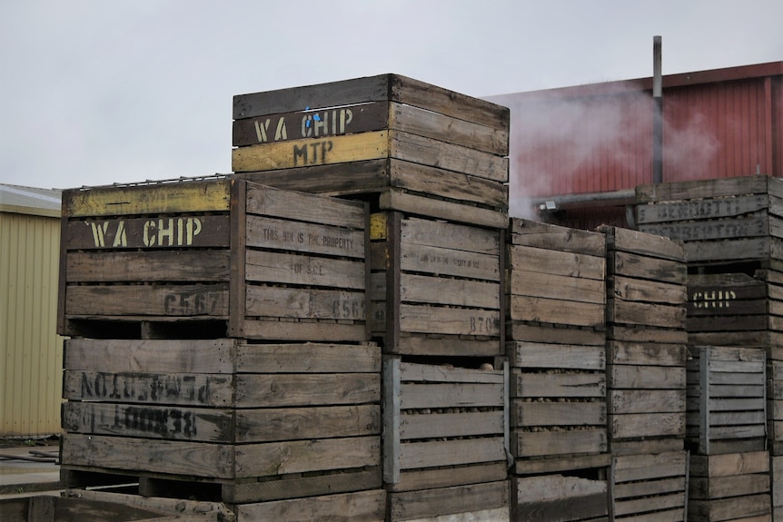 WA Chip: potato crates