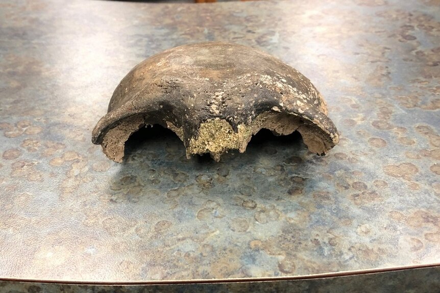 A partial skull that was discovered by two kayakers in the US state of Minnesota has been found to be about 8,000 years old.