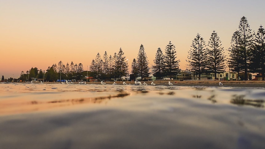 The sun rises over Altona beachfront, with pinks and oranges reflecting on the water