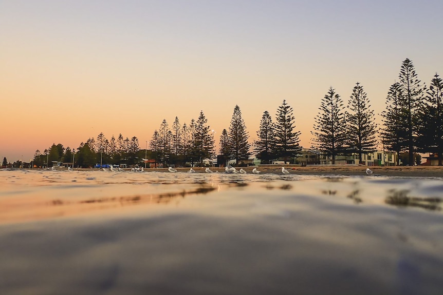 The sun rises over Altona beachfront, with pinks and oranges reflecting on the water