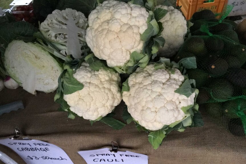 Home grown cauliflowers, cabbage, turnips and avocadoes on the market table.