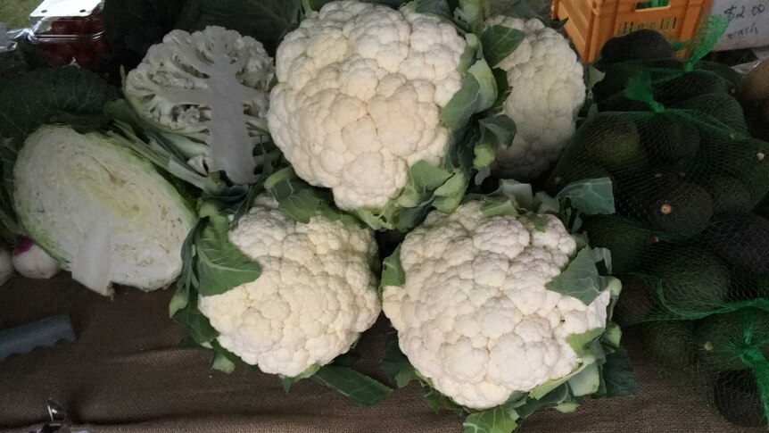 Home grown cauliflowers, cabbage, turnips and avocadoes on the market table.