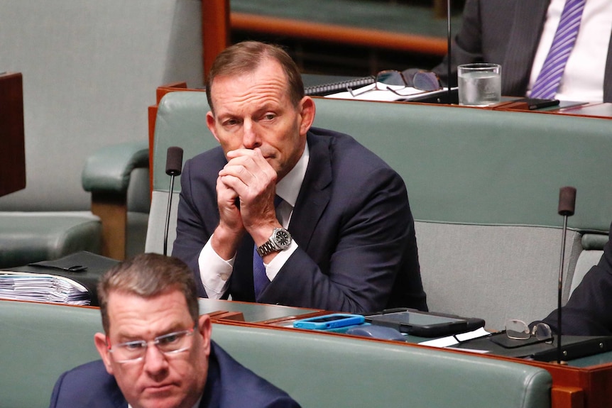 Tony Abbott sits hunched over in the House of Reps, frowning and leaning against his clasped hands. One eyebrow is raised.