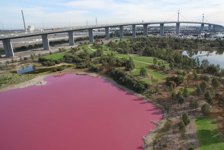 The pink lake in Melbourne with the West Gate Freeway in the background.
