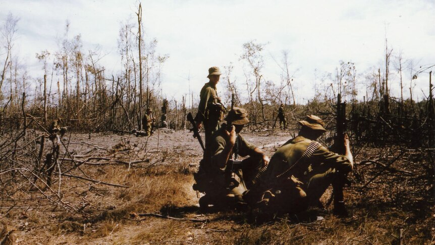 Six soldiers search among dead trees in a field.