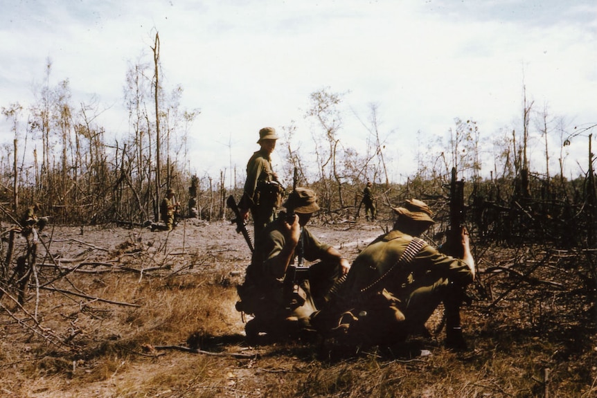 Six soldiers search among dead trees in a field.