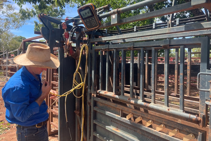 Image of a man near a fence touching a machine.