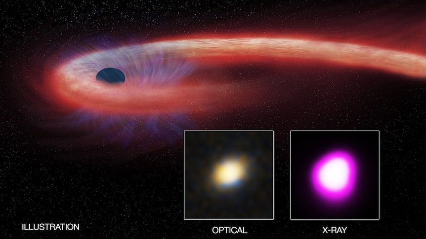 Artist's illustration depicts what astronomers call a tidal disruption event, or TDE.