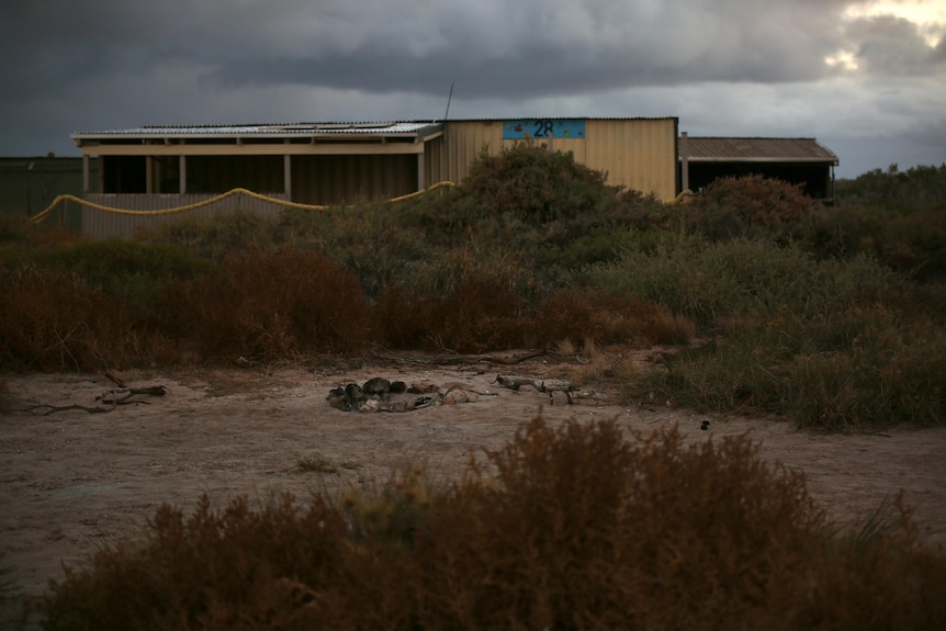 A shack as night falls