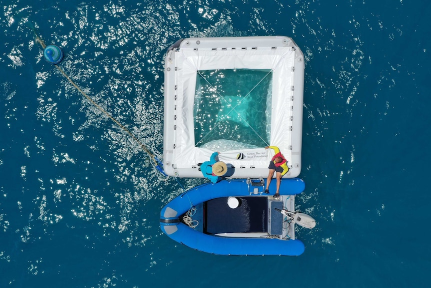 An aerial shot looking down over a small dinghy boat and a square floatation device