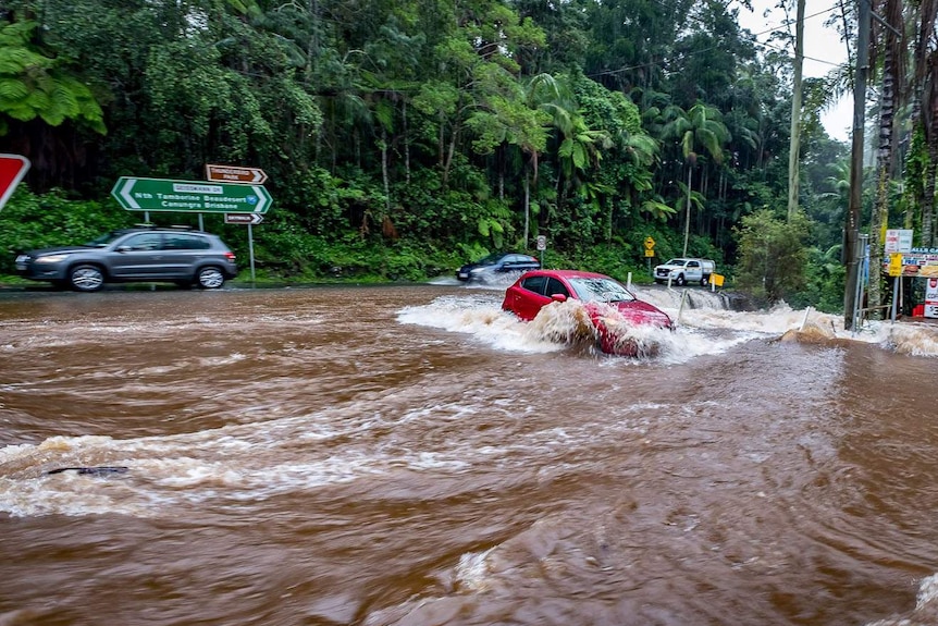 Cars try to drive through floodwaters through Curtis Road and Curtis Falls on Mount Tamborine during a deluge.