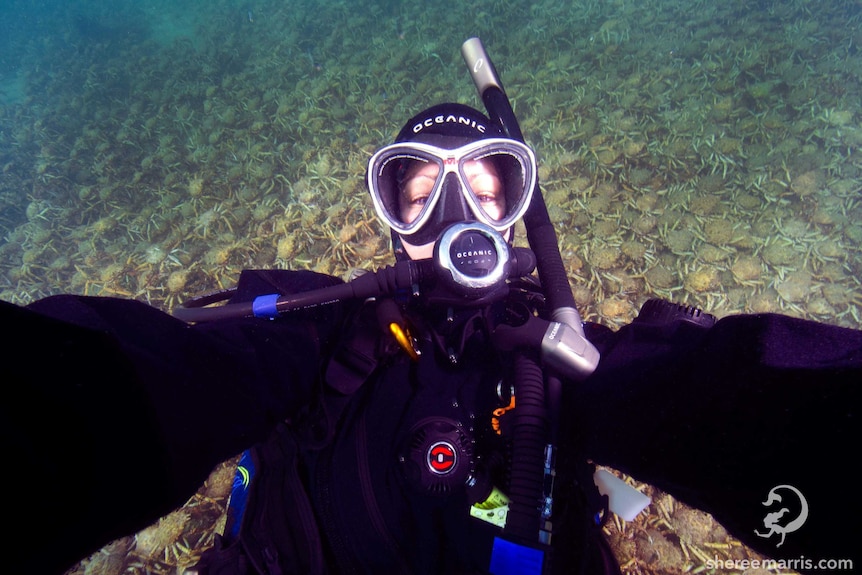 Sheree Marris in her scuba gear takes selfie with spider crabs