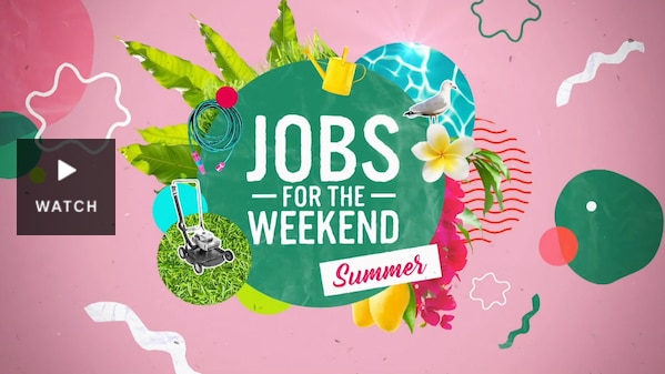 Graphic with summer fruits and text 'Jobs for the Weekend - Summer'. Has Video.