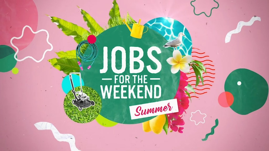 Graphic with summer fruits and text 'Jobs for the Weekend - Summer'