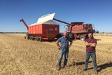Leon Hogan, and his brother Chris, stand in a failed wheat crop at his Wimmera property
