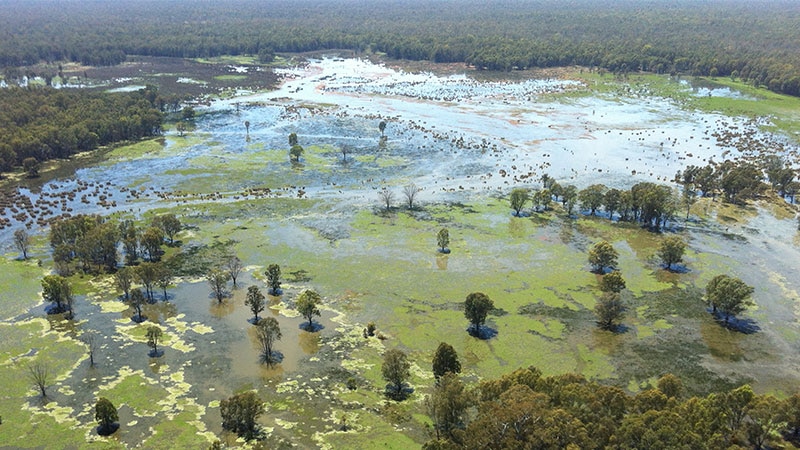 a picture of flooded wetlands from the air